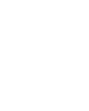Lion shield